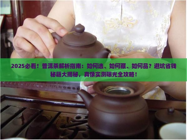 一本书认识普洱茶