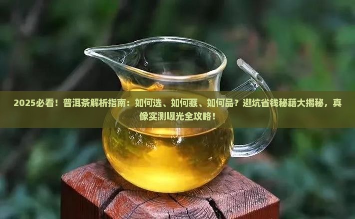 一本书认识普洱茶