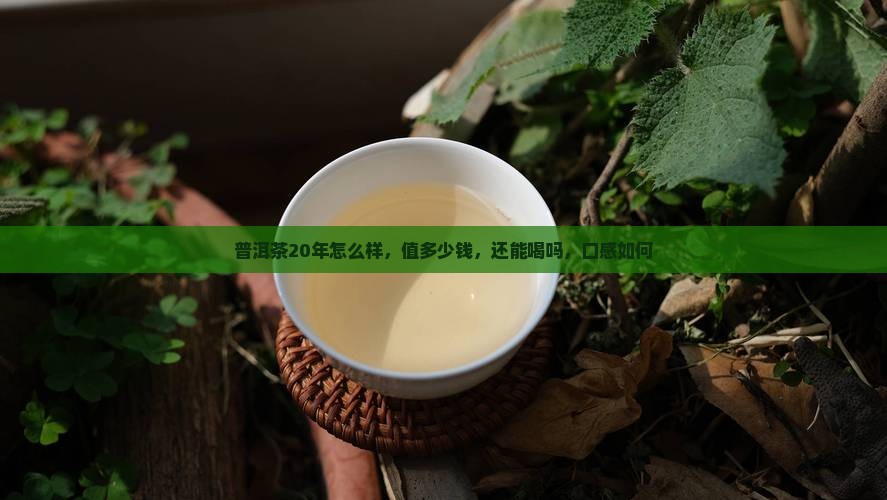 普洱茶20年怎么样
