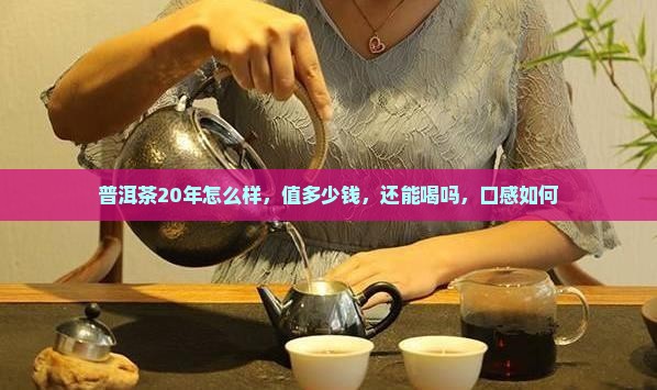 普洱茶20年怎么样