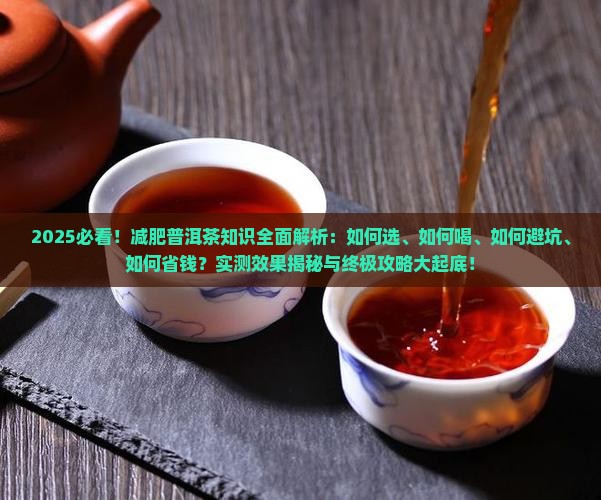 减肥普洱茶知识