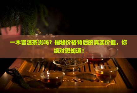一木普洱茶贵吗