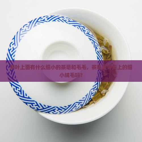 茶叶有茶毛是什么原因
