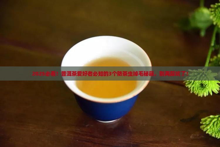 普洱茶怎么防茶虫掉毛