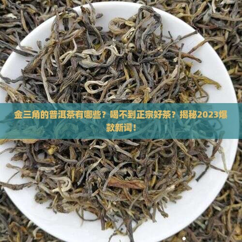 金三角的普洱茶有哪些