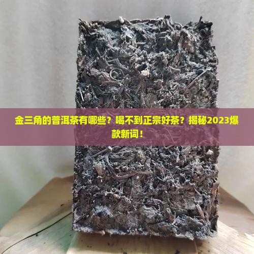 金三角的普洱茶有哪些
