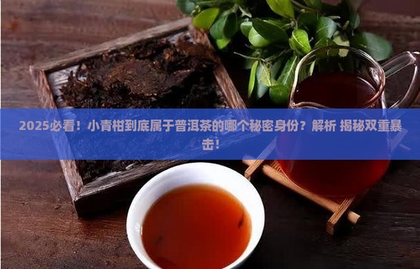 小青柑属于普洱茶的什么茶