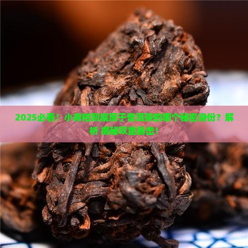 小青柑属于普洱茶的什么茶