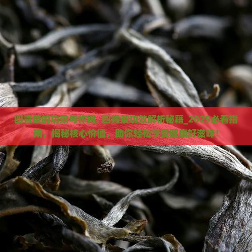 四青茶的功效与作用