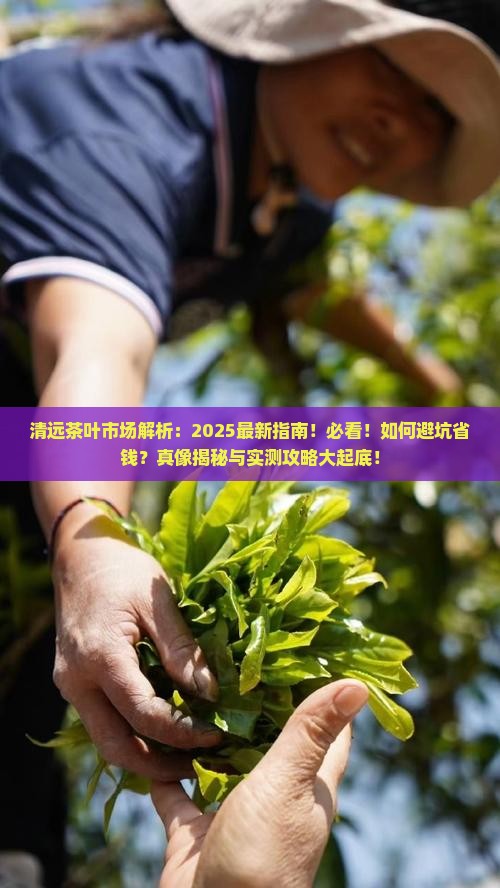清远茶叶市场在哪里