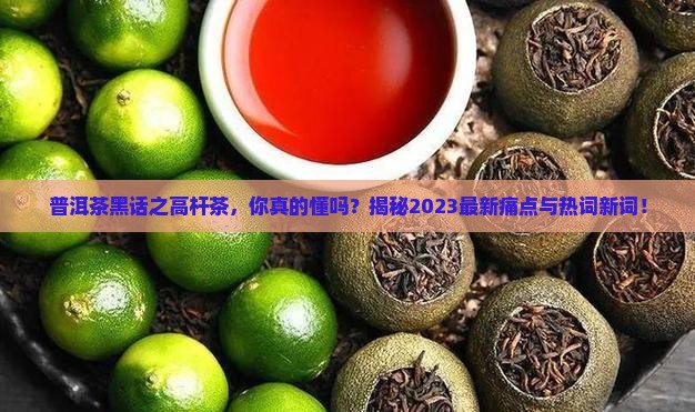 普洱茶黑话之高杆茶