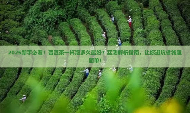 普洱茶一杯泡的时间