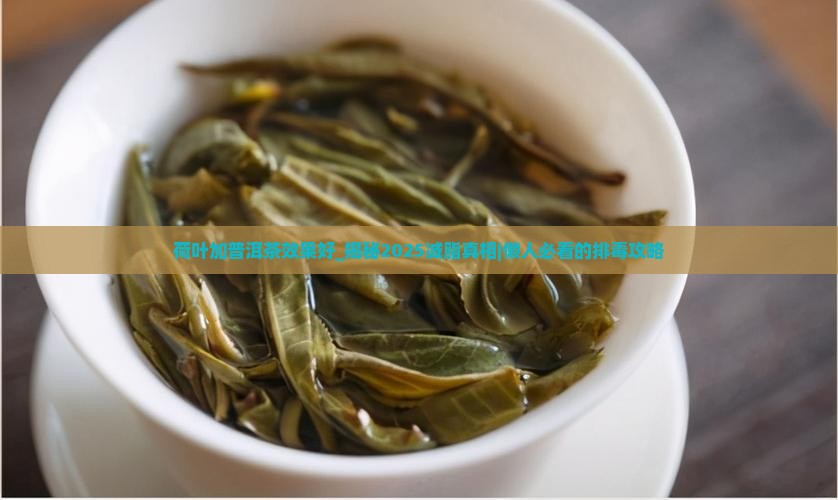 荷叶加普洱茶效果好