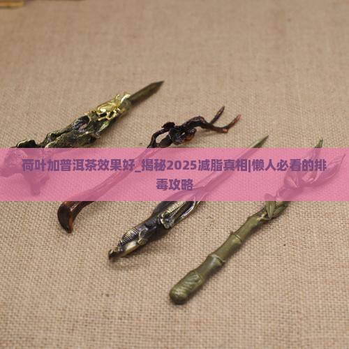 荷叶加普洱茶效果好