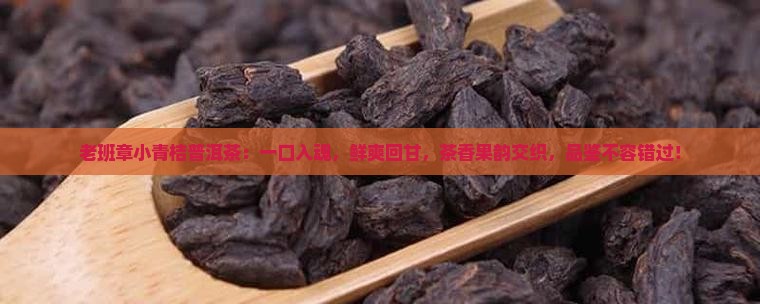 老班章小青桔普洱茶