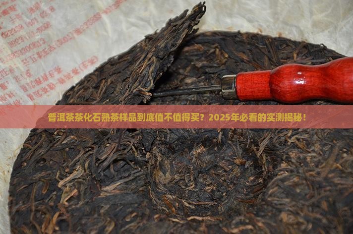 普洱茶茶化石熟茶样品