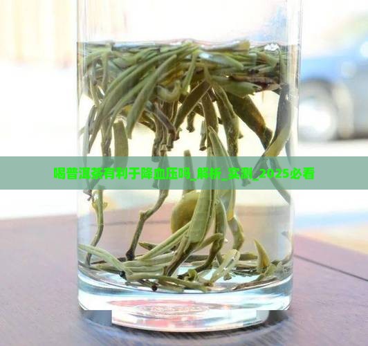 喝普洱茶有利于降血压吗 喝普洱茶有利于降血压吗