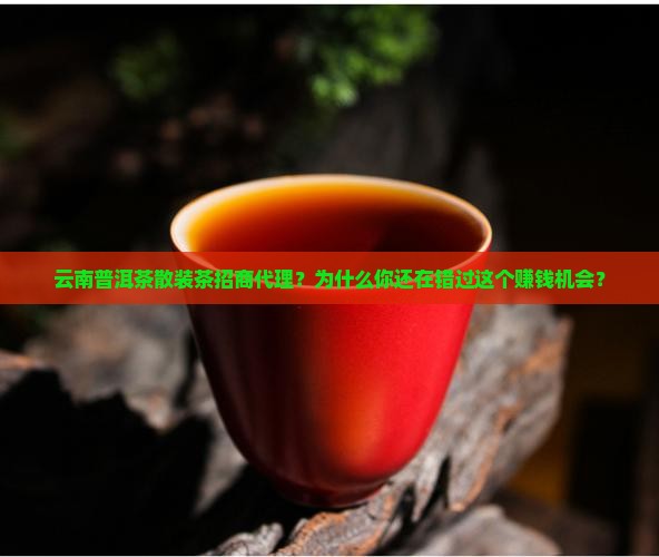 云南普洱茶散装茶招商代理