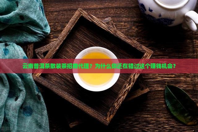 云南普洱茶散装茶招商代理