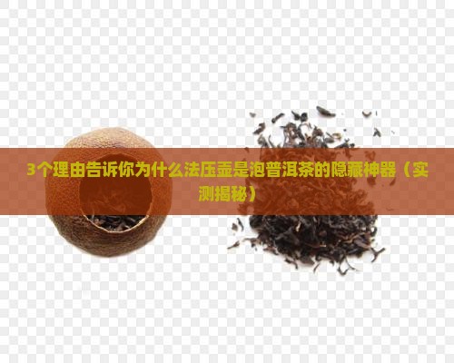 法压壶适合泡普洱茶