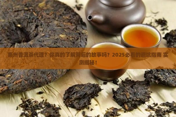 惠州普洱茶代理
