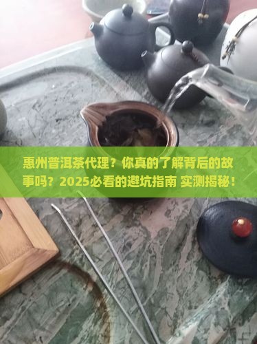 惠州普洱茶代理