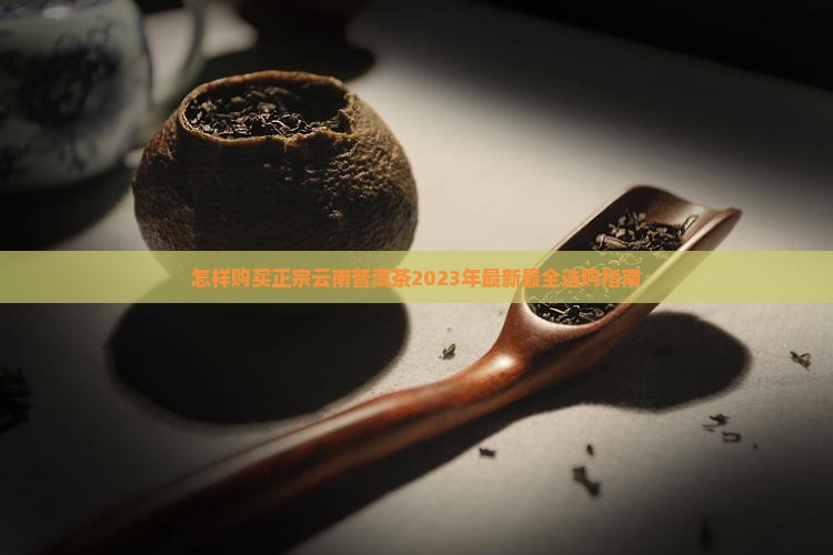 怎样购买正宗云南普洱茶