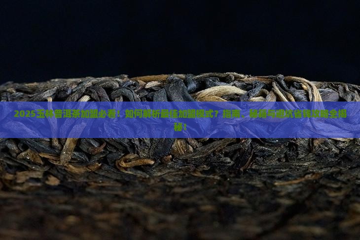 玉林普洱茶怎么加盟的好