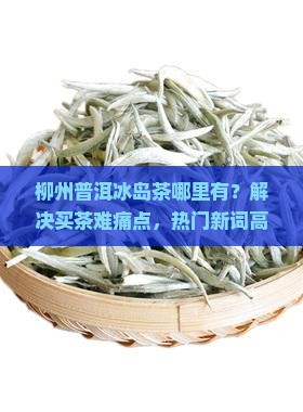 柳州普洱冰岛茶哪里有