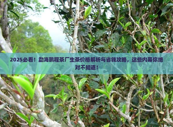 勐海鹏程茶厂生茶价格