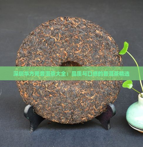 深圳华方苑普洱茶