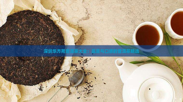 深圳华方苑普洱茶