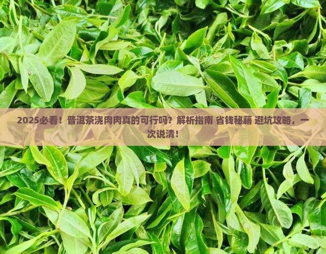 普洱茶可以浇肉肉吗