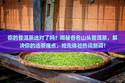 各名山头普洱茶