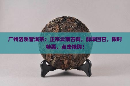 广州洛溪普洱茶