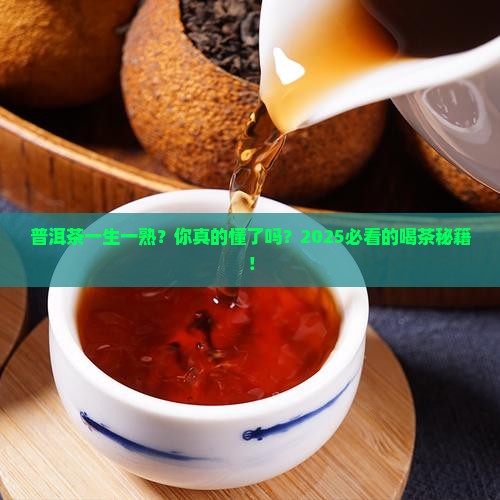云南茶叶普洱茶一生一熟