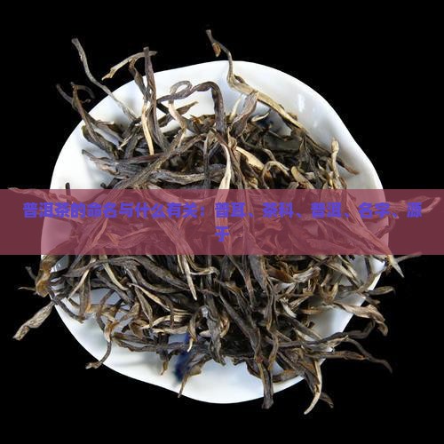 普洱茶的命名与什么有关