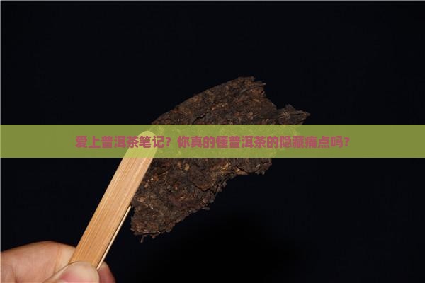 爱上普洱茶笔记