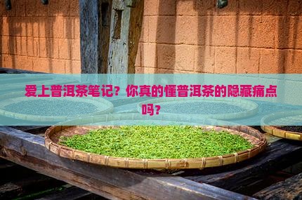 爱上普洱茶笔记