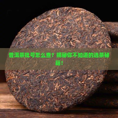 普洱茶批号哪里看