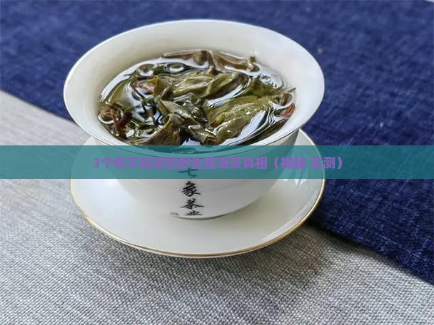 极品野生普洱茶特点