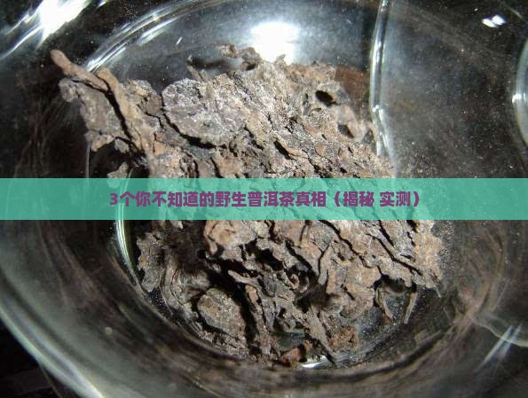 极品野生普洱茶特点