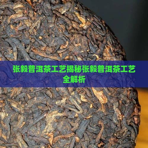 张毅普洱茶工艺