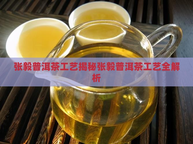 张毅普洱茶工艺