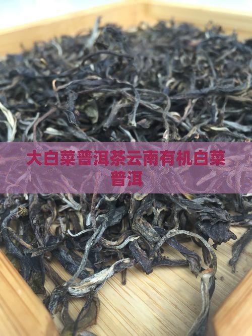 云南有机大白菜普洱茶