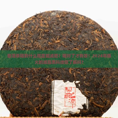 普洱茶喝到什么程度能减肥