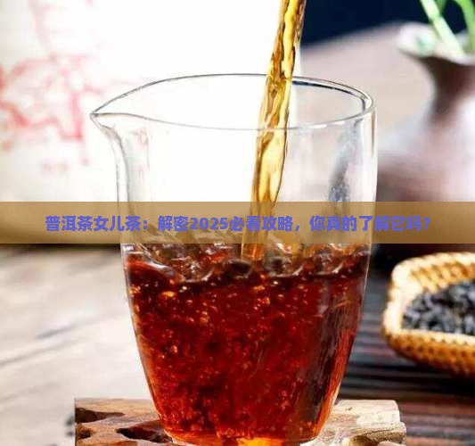 普洱茶女儿茶属于什么茶