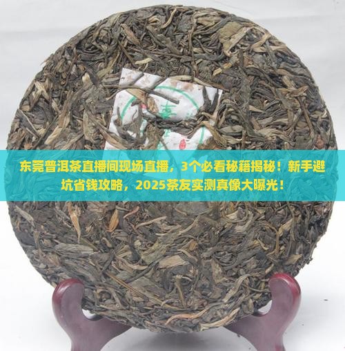 东莞普洱茶直播间现场直播