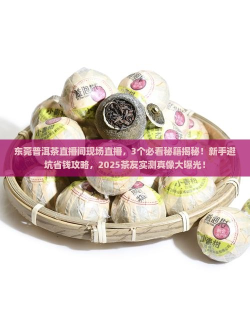 东莞普洱茶直播间现场直播