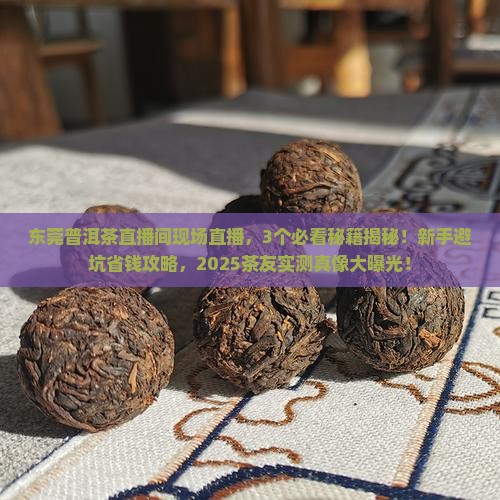 东莞普洱茶直播间现场直播